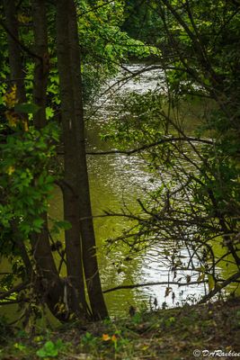 Sunlight on the Don