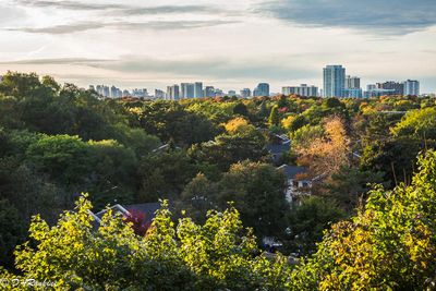 Autumn in North York