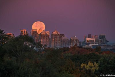 THE MOON