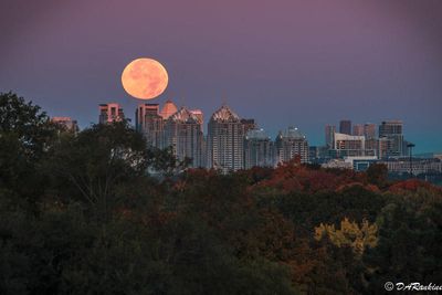 The Moon and Autumn