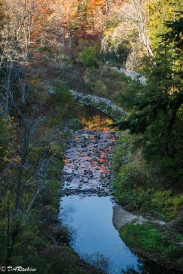 --From Sunnybrook Park 