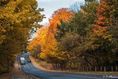 --Autumn in Brookbanks Park