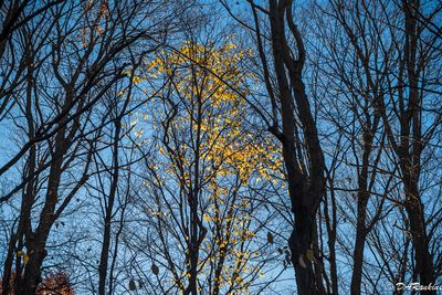 g13/01/709301/3/175036213.fd9b533f.JPEG