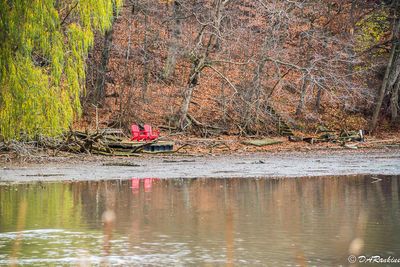 Side Seats  to the Sound of the Marsh