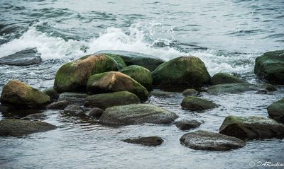 g13/01/709301/3/175071507.d57a0a30.JPEG