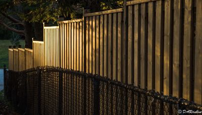 The evening sunlight