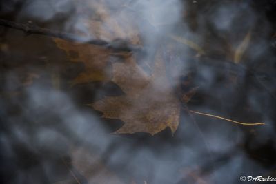 Caught in a Cloud