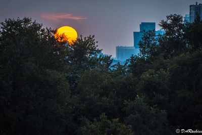 Evenings in Toronto