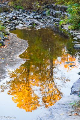 Colours of Autumn
