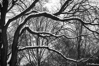 On A Grey Day