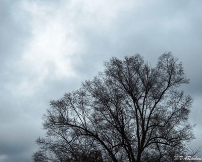  Autumn Galleries