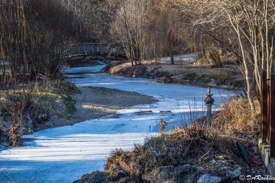 Wilket Creek 