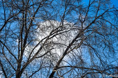 The Presence of Clouds