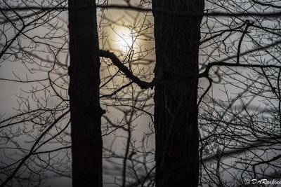 The Presence of the Sun