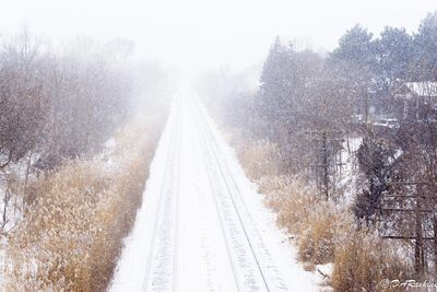 Rail Line and Mist
