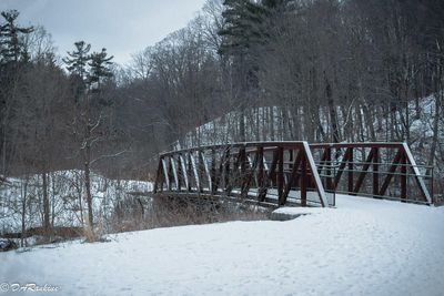 g13/01/709301/3/175221984.2189d0e1.JPEG