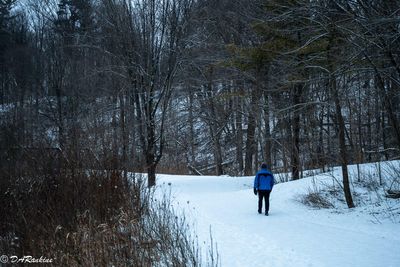 The Evening's Walk
