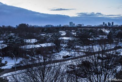 Winter evening in Parkwoods