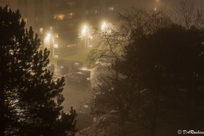 One Foggy Winter's Night