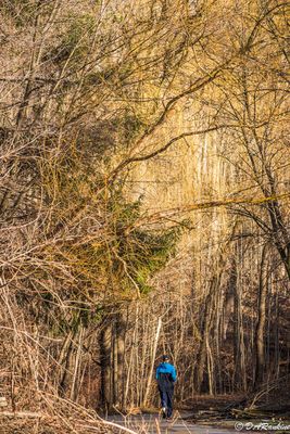 Winter Galleries