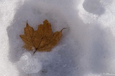 20250307-_DSC3039.jpg