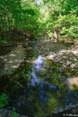 Reflections of Deerlick Creek