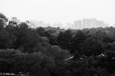 Monochrome Scenes