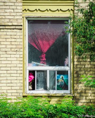 In And Out Of Windows