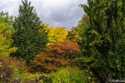 Autumn '25