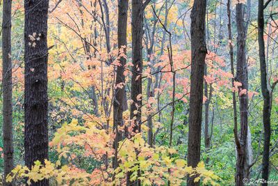 Autumn '25
