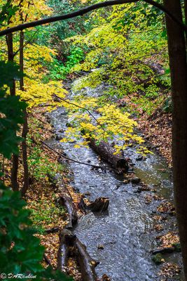  Autumn Galleries