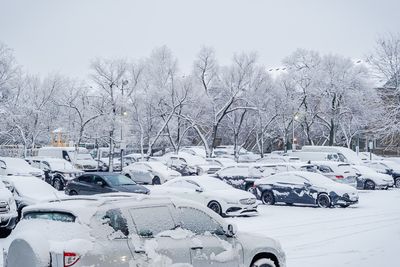 Snow Free and Parked