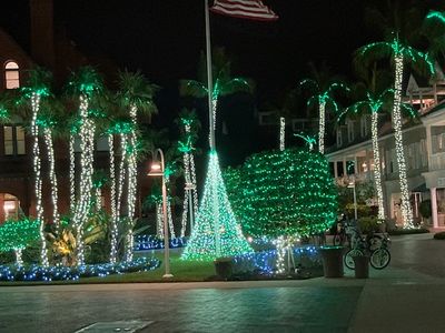 IMG_0318.jpg