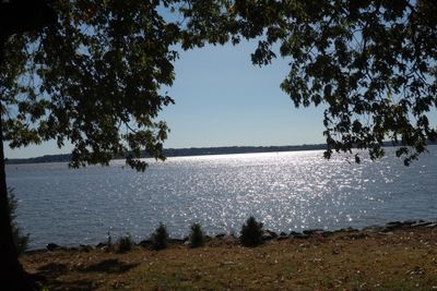 DSC02884.JPG