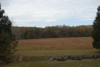 DSC02951.JPG