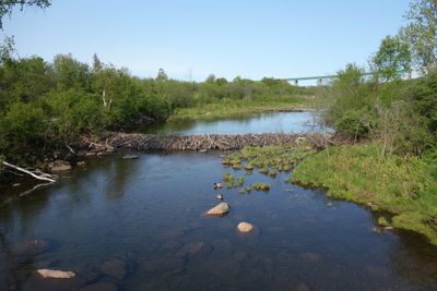 Sault Ste. Marie, Ontario