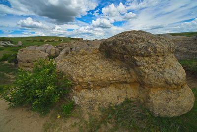 DSC_1285trj2.jpg