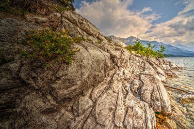 DSC_1398_Vibrantrj2.jpg