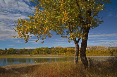 DSC_1847trj2.jpg