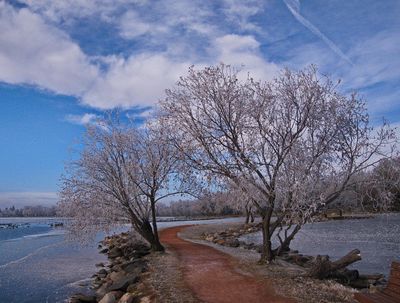 P1000108trj2.jpg