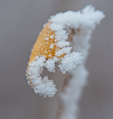 DSC_0177trj2.jpg