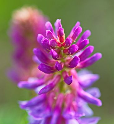 DSC_0777trj2.jpg