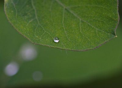 DSC_0874trj3.jpg