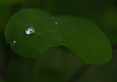DSC_0889trj3.jpg