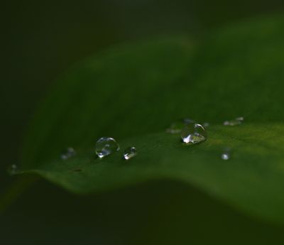 DSC_0892trj3.jpg