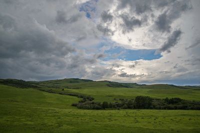 DSC_1823tt2rj2.jpg