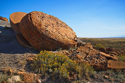DSC_2108trj2.jpg