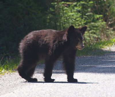 DSC_0476trj.jpg