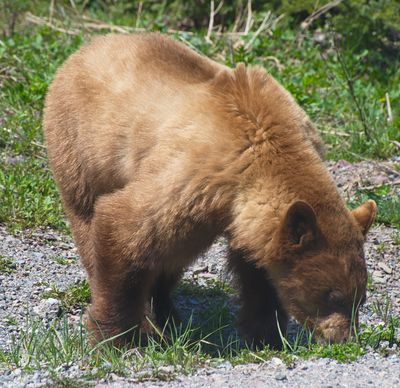 DSC_0510trj.jpg