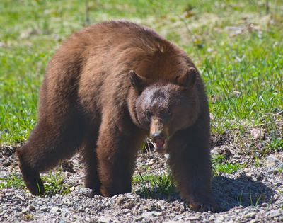 DSC_0520trj.jpg